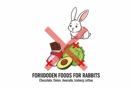 Foods Rabbits Cannot Eat