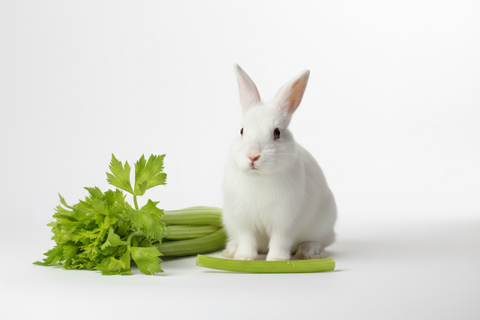 Can Rabbits Eat Celery