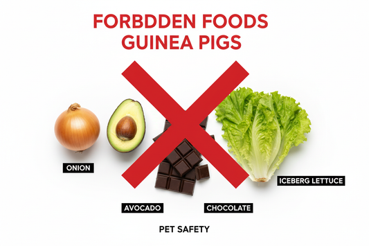 Foods Guinea Pigs Cannot Eat
