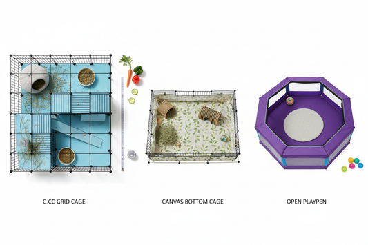 Best Guinea Pig Cage