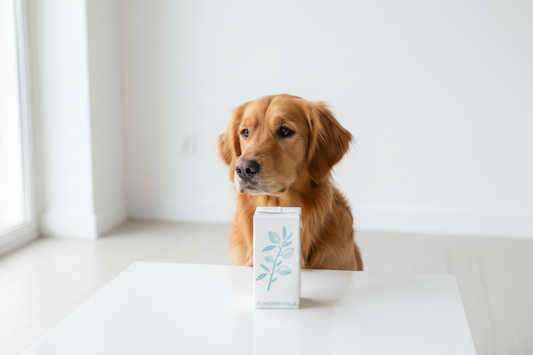 Can Dogs Eat Almond Milk