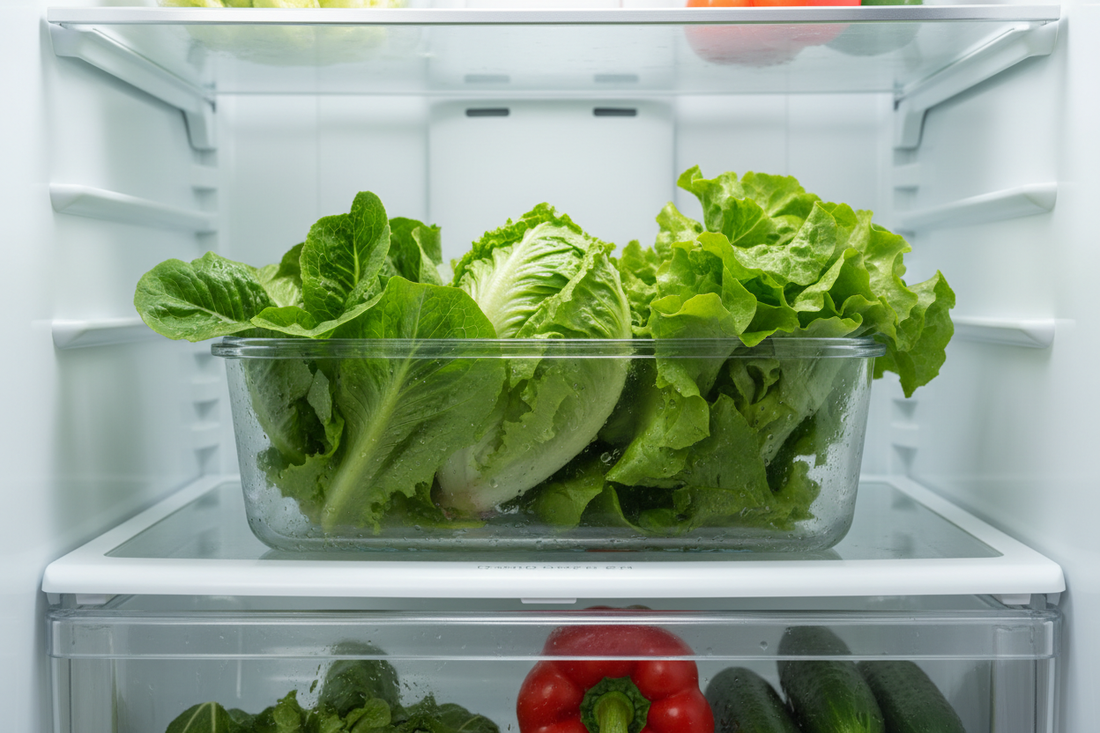How to Keep Lettuce Fresh in the Refrigerator