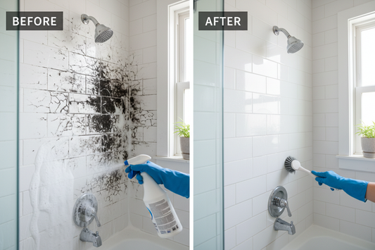 How to Remove Black Mold from Bathroom