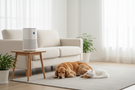 Best Air Purifier for Pet Owners