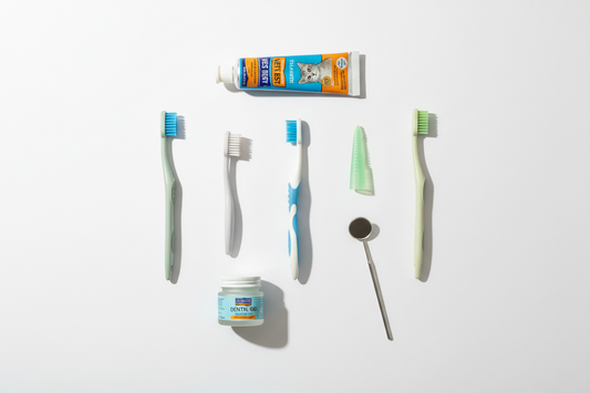 Best Cat Toothbrush