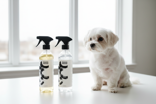 Best Enzyme Cleaner for Pet Stains