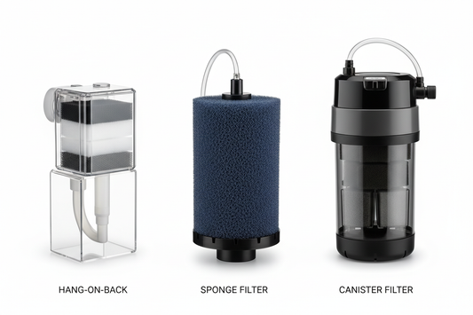 Best Fish Tank Filter