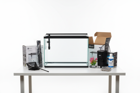 Best Fish Tank for Beginners