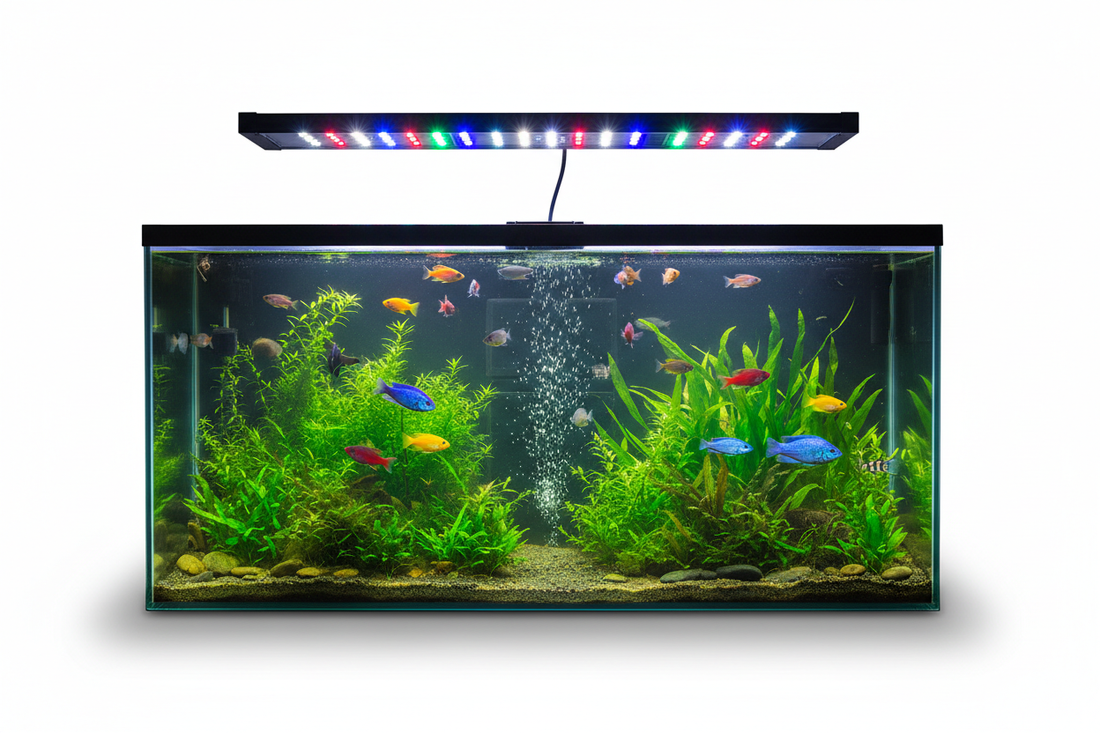 Best Fish Tank Light
