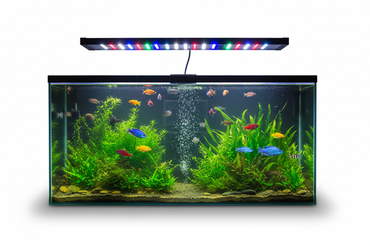 Best Fish Tank Light