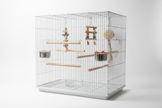 How to Set Up a Bird Cage: Step-by-Step Guide