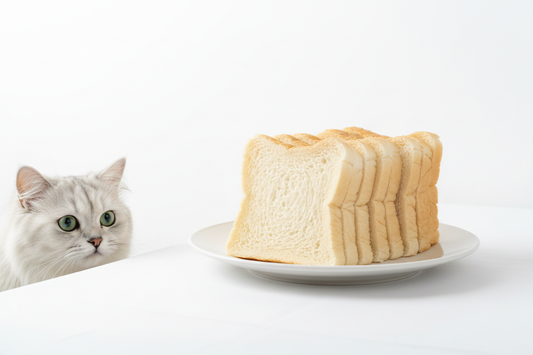 Can Cats Eat Bread