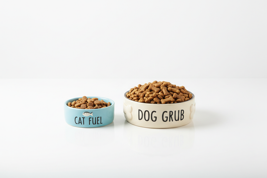 Can Cats Eat Dog Food