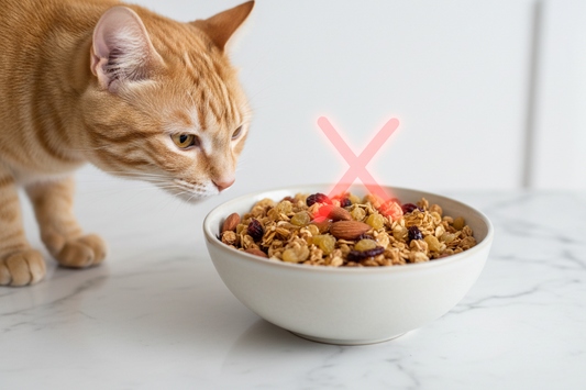 Can Cats Eat Granola? Why This "Healthy" Snack Is Bad for Cats