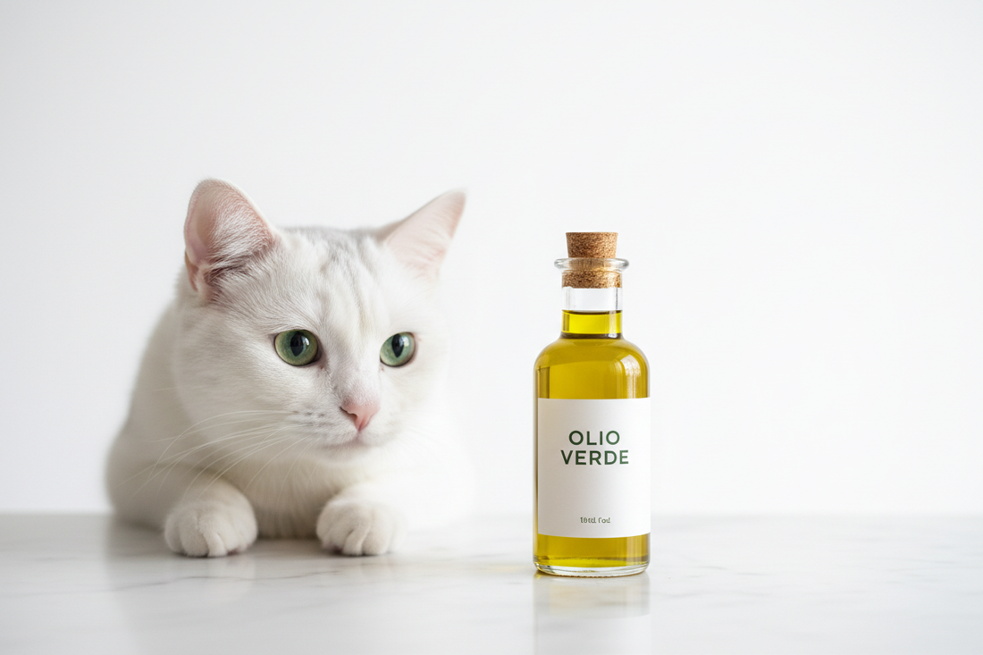 Can Cats Eat Olive Oil