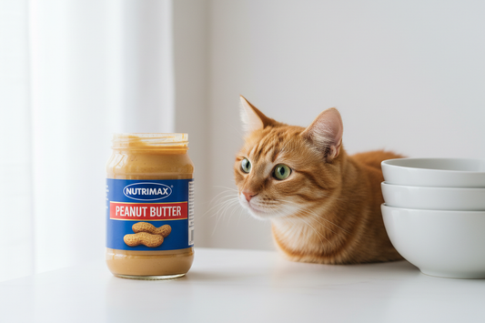 Can Cats Eat Peanut Butter