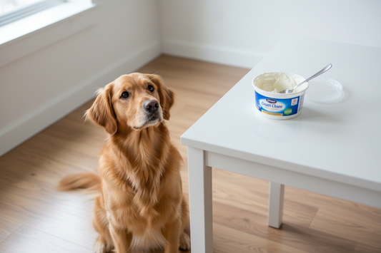 Can Dogs Eat Cream Cheese
