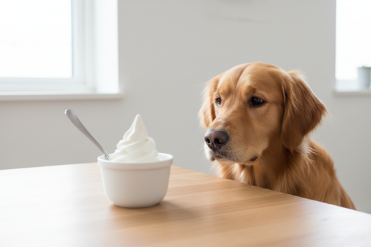 Can Dogs Eat Frozen Yogurt