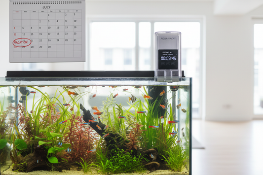 How Long Can Fish Go Without Food