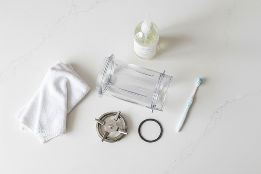 How to Clean Blender Gasket / Seal