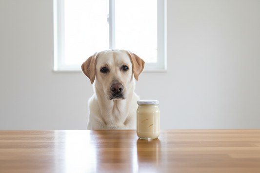 Can Dogs Eat Mayonnaise