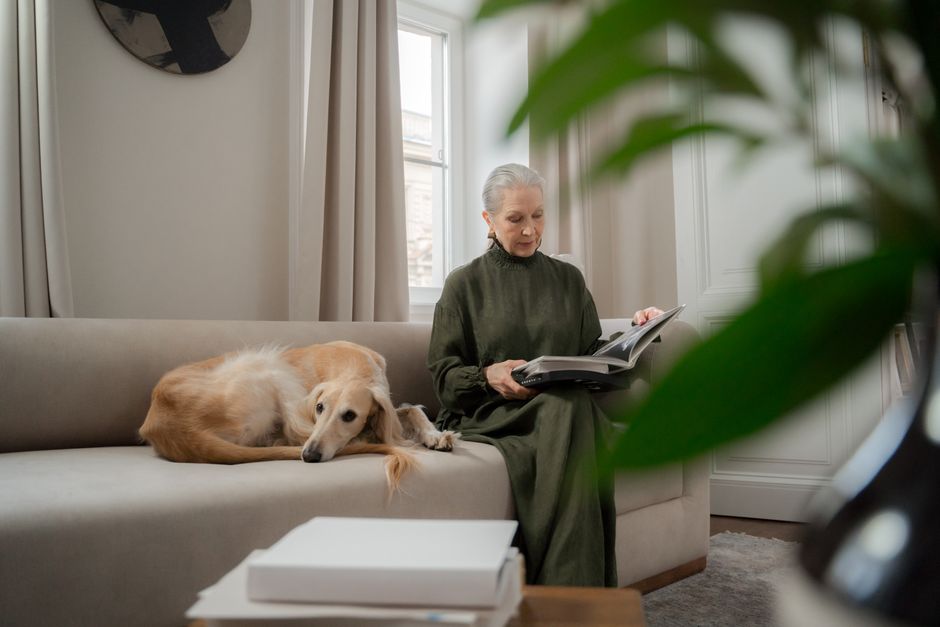 How to Keep Your Senior Dog Comfortable on a Tight Budget: A Practical Guide for Hip and Joint Care