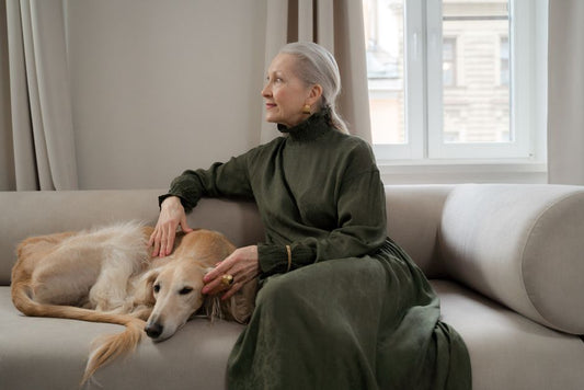 How to Soothe an Arthritic Senior Dog With Natural Remedies at Home