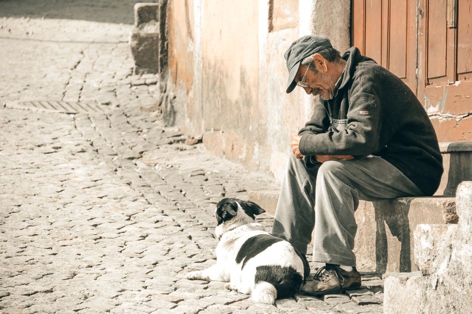 DIY Senior Pet Care Solutions for Common Age-Related Issues