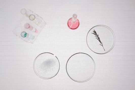 The Science-Backed Home Remedy: 7 Evidence-Based Systems That Actually Work