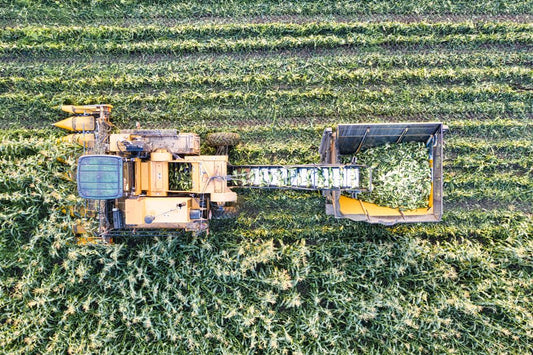 Weed Control for Maximum Yield: The Complete System to Stop Competition and Boost Harvest