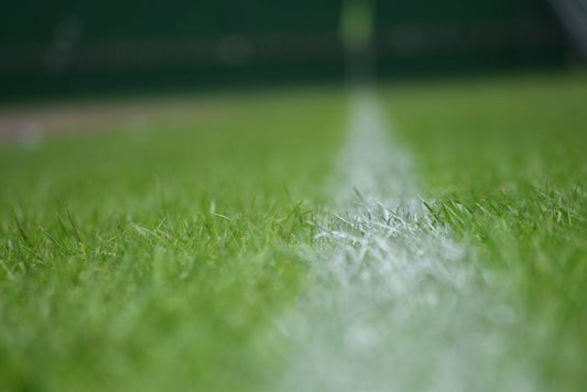 The Complete Guide to Indoor Lawn Care: How to Grow and Maintain a Thriving Indoor Grass Space