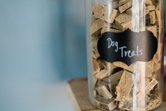 Budget Friendly Pet Supply Storage: 10 Clever Organizers Under $30