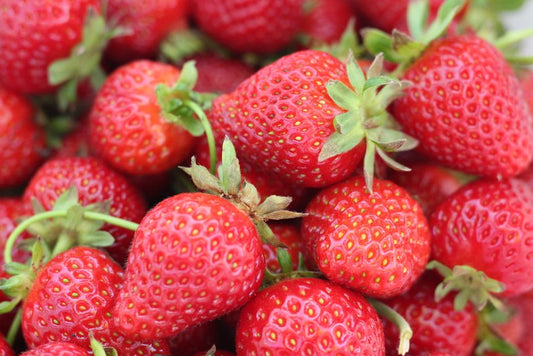 The Complete Apartment Strawberry Growing System: From Windowsill to Harvest