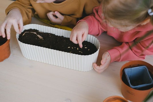 The Complete Guide to Companion Planting for Kids: Fun Garden Friends That Grow Together