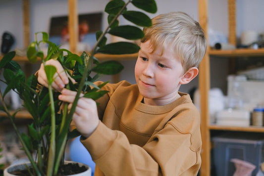 How to Grow a Monstera with Your Kids: A Complete Guide to Safe, Fun, and Educational Plant Care