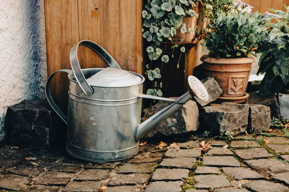 The Beginner's Guide to Watering Systems: Essential Tools for Healthy Plants