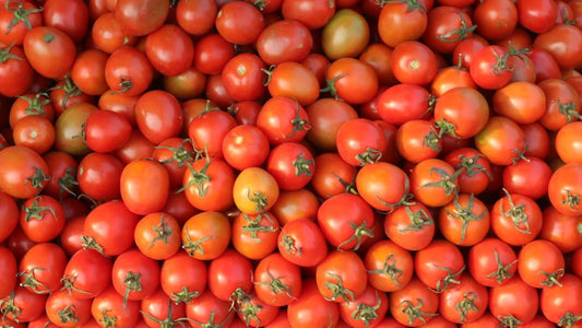 The Art of Tomato Whispering: Unlock Hidden Tips and Tricks for Explosive Harvests