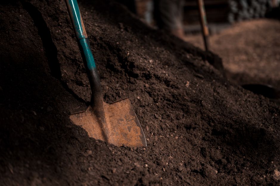 Sustainable Gardening for Skeptics: Why Your Compost Pile Might Not Be Helping the Planet as Much as You Think