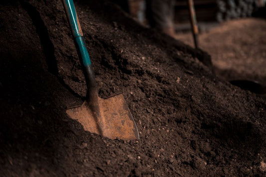 Sustainable Gardening for Skeptics: Why Your Compost Pile Might Not Be Helping the Planet as Much as You Think