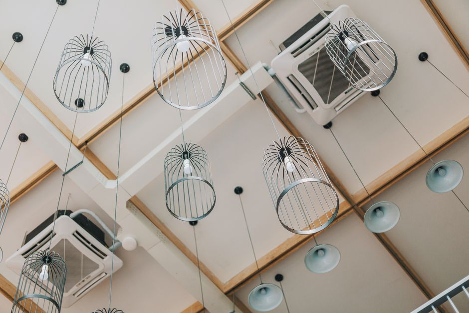 Essential Ceiling Fan Cleaning for Allergy Sufferers: A Complete Guide to Dust-Free Air