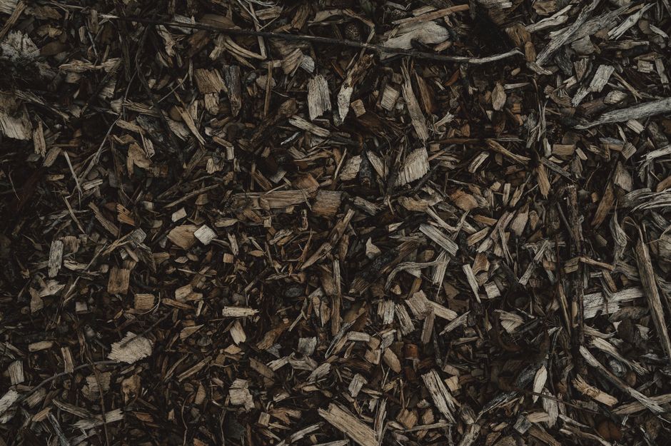 A Step-by-Step Guide to Building Your First Compost Pile from Kitchen Scraps