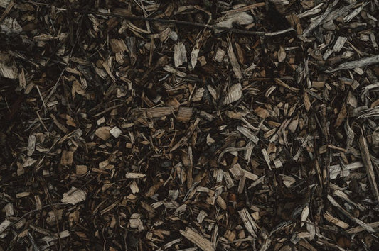 Budget Composting Setup: Transform Kitchen Scraps into Garden Gold Without Spending a Dime