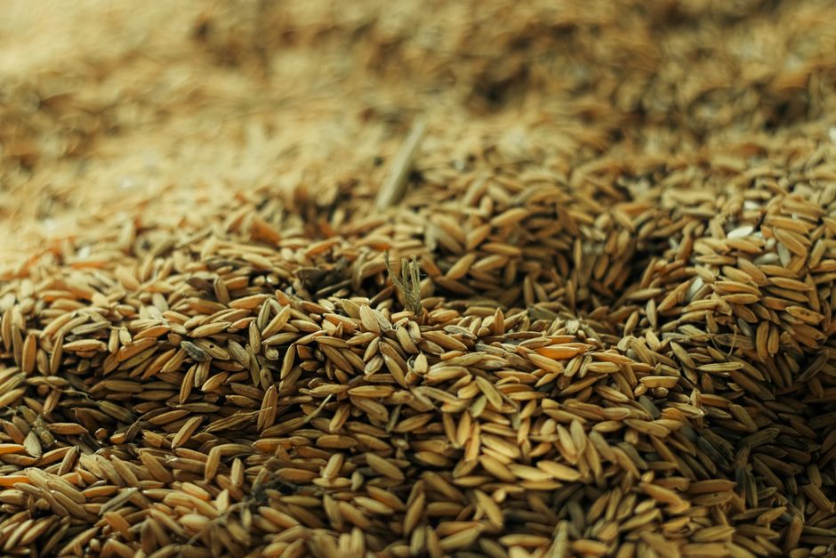 The Rice Crisis Solved: A Complete Troubleshooting Guide to Perfect Grains Every Time