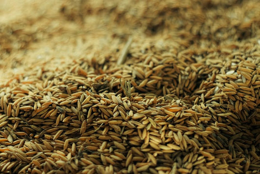 The Rice Crisis Solved: A Complete Troubleshooting Guide to Perfect Grains Every Time