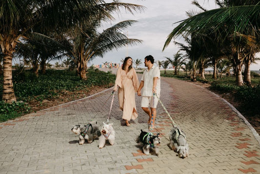 The Complete First-Time Pet Owner's Guide to Traveling Together