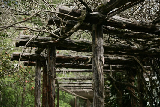 How to Prevent Pergola Rot and Rust: The Complete Care Guide