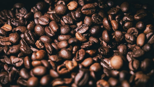 The Complete Guide to Storing Coffee Beans for Maximum Freshness and Flavor