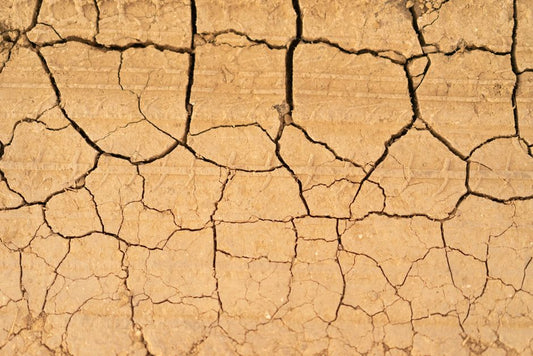 The Overlooked Art of Soil Preparation: How to Fix Heavy, Compacted, or Lifeless Garden Soil