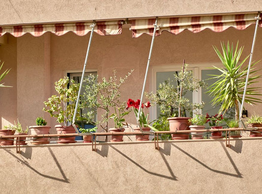 Apartment Balcony Landscaping: Essential Hardscaping and Plant Solutions for Small Outdoor Spaces
