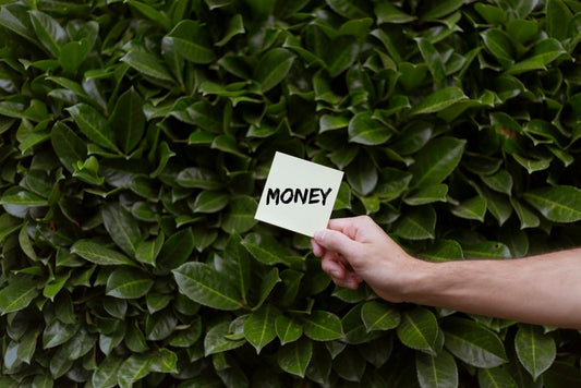 The Complete Guide to Saving Money with Eco-Friendly Paper Products